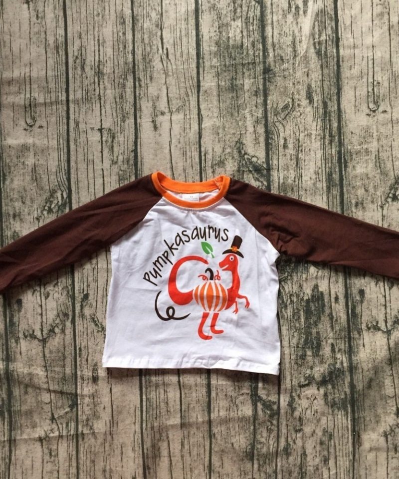 Thanksgiving Dinosaur Turkey Boys Raglan T-Shirt Longsleeve
